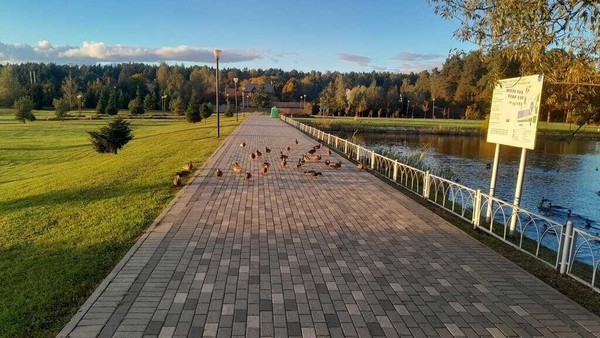 Продам участок 11 соток, ИЖС, Круги п, 0 км от города