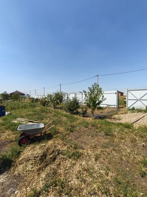 Продам участок 10 соток, ИЖС, Чехова ул, 12, Большие Салы с, 0 км от города