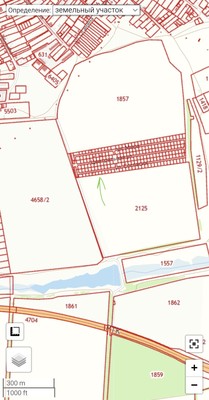 Продам участок 10 соток, ИЖС, Чехова ул, 12, Большие Салы с, 0 км от города