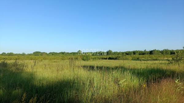 Продам участок 6 соток, Фермерское хоз., Роз ул, Апшеронск г, 0 км от города