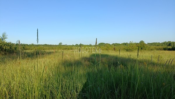 Продам участок 6 соток, Фермерское хоз., Роз ул, Апшеронск г, 0 км от города