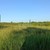 Продам участок 6 соток, Фермерское хоз., Роз ул, Апшеронск г, 0 км от города