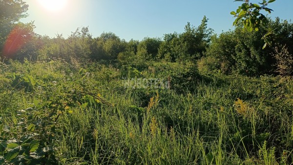 Продам участок 6 соток, Фермерское хоз., Роз ул, Апшеронск г, 0 км от города
