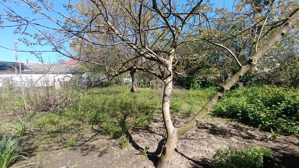 Продам участок 8 соток, ИЖС, Школьная ул, 7, Апшеронск г, 0 км от города