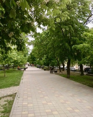 Продам двухкомнатную (2-комн.) квартиру, Братский пер, 56к1, Ростов-на-Дону г