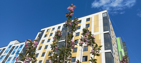 Продам однокомнатную (1-комн.) квартиру, Тюльпанов (Янила Кантри мкр) ул, 2, Янино-1 гп