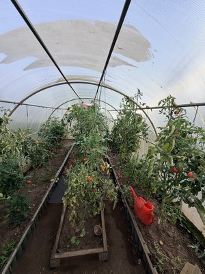 Продам дачу, Клубная ул, Сингели с, 0 км от города