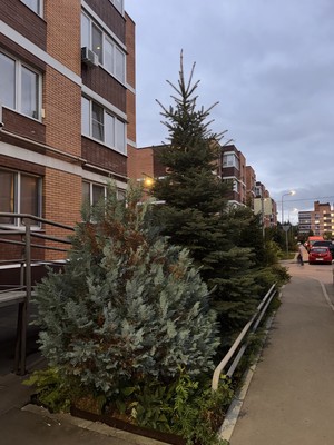 Продам двухкомнатную (2-комн.) квартиру, Школьная ул, 5к1, Горчаково д
