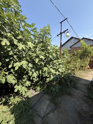 Продам дом, 1 снт, 99, Краснодар г, 0 км от города