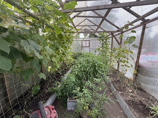 Продам дом, Новая ул, Монино рп, 0 км от города