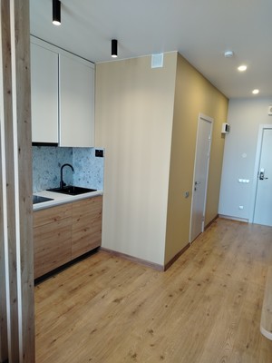 Продам однокомнатную (1-комн.) квартиру, На Турухтанные острова дор, 5к1, Санкт-Петербург г