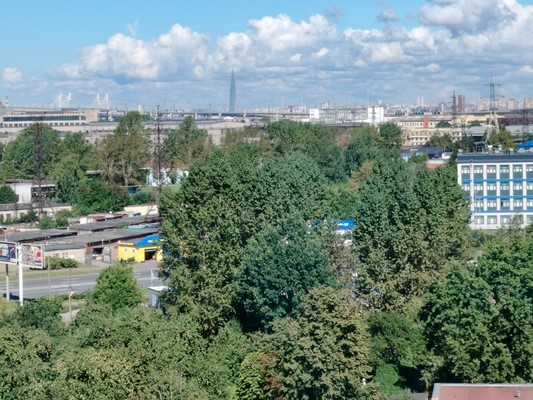 Продам однокомнатную (1-комн.) квартиру, На Турухтанные острова дор, 5к1, Санкт-Петербург г