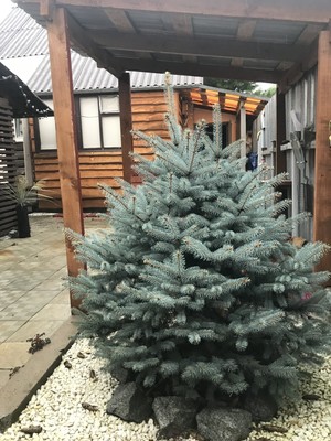 Продам дачу, 2425 км, Ишим г, 0 км от города