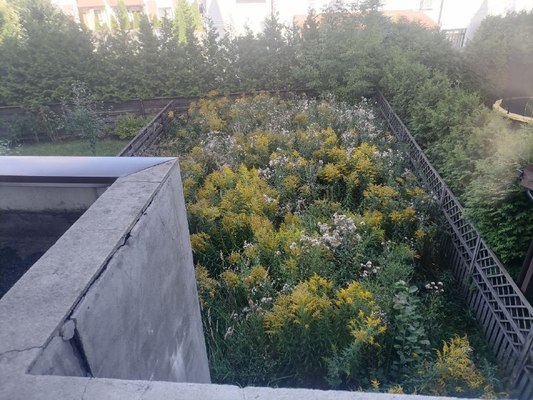 Продам таунхаус в поселке Александровский, Александра Второго ул, 2к4, Александровка д, 16 км от города