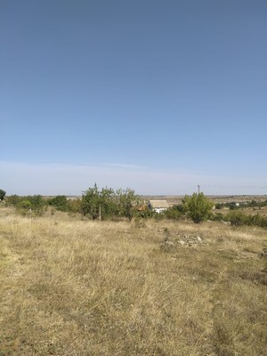 Продам участок 9,29 соток, Фермерское хоз., Кочергино с, 0 км от города