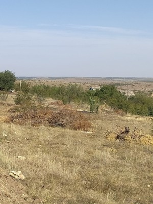 Продам участок 9,29 соток, Фермерское хоз., Кочергино с, 0 км от города