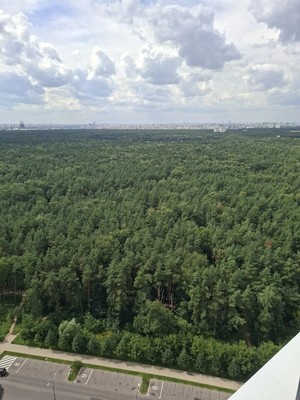 Продам трехкомнатную (3-комн.) квартиру, Сосновая ул, 1к1, Котельники г