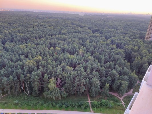 Продам трехкомнатную (3-комн.) квартиру, Сосновая ул, 1к1, Котельники г