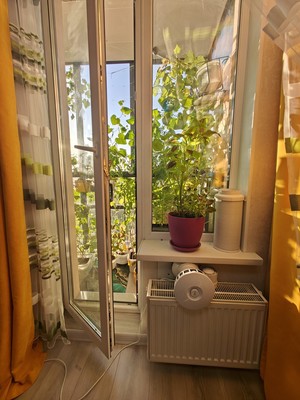Продам однокомнатную (1-комн.) квартиру, Имени К. И. Вороницына ул, 1к1, Химки г