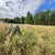 Продам участок 12 соток, Фермерское хоз., 33 кв-л, Раменское г, 0 км от города