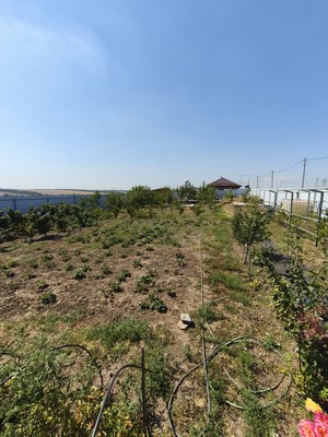 Продам участок 10 соток, ИЖС, Чехова ул, 12, Большие Салы с, 0 км от города