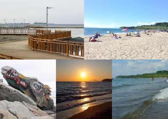 Продам участок 19,09 соток, Фермерское хоз., Грибной (Зеленый сад тер. СНТ) пер, 12А, Находка г, 0 км от города