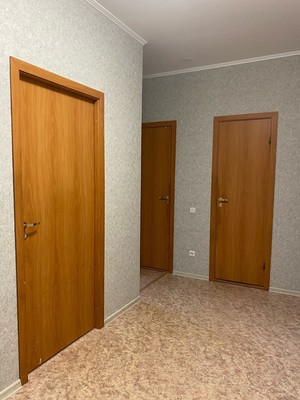 Продам двухкомнатную (2-комн.) квартиру, Арсенальная ул, 1, Новое Девяткино д