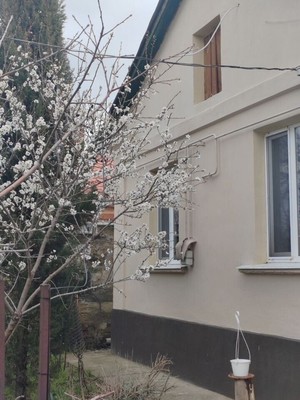 Продам дом, Автомобильная ул, 34, Симферополь г, 0 км от города