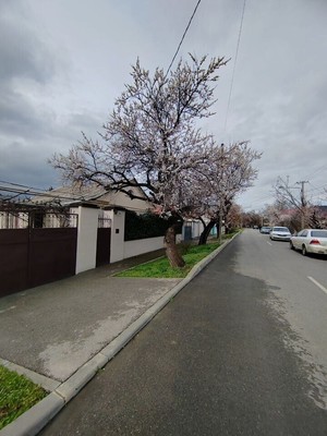 Продам дом, Автомобильная ул, 34, Симферополь г, 0 км от города