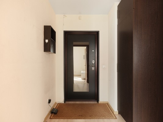 Продам однокомнатную (1-комн.) квартиру, Авиаторов Балтики пр-кт, 3, Мурино п