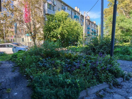 Продам двухкомнатную (2-комн.) квартиру, Севастопольская ул, 44, Комсомольск-на-Амуре г
