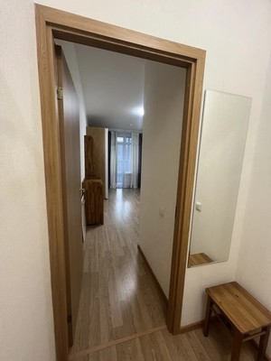 Продам однокомнатную (1-комн.) квартиру, Адмирала Трибуца ул, 7, Санкт-Петербург г