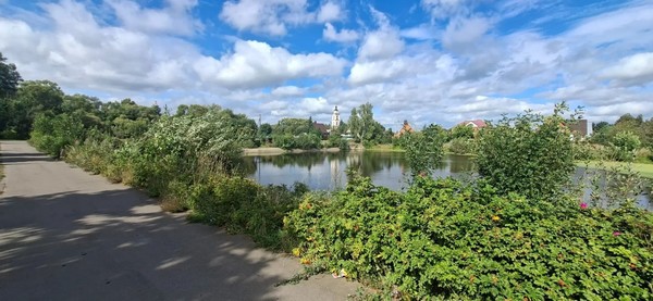 Продам дом, 6-ая Садовая ул, 13, Вельяминово с, 0 км от города