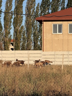 Продам дом, Водное с, 0 км от города