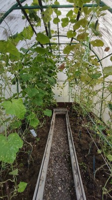 Продам дачу, СНТ Радиоцентр N6 ГПР-1 тер, 162, радиоцентра "Романцево" п, 0 км от города