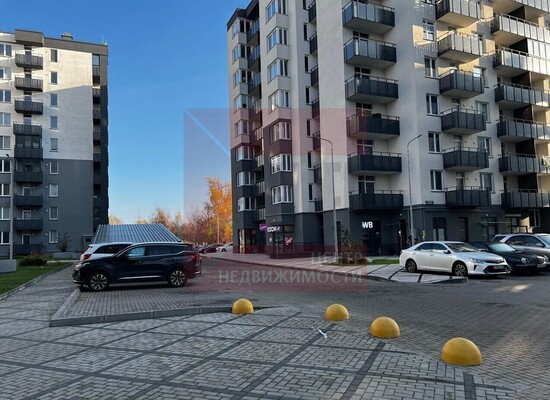 Продам однокомнатную (1-комн.) квартиру, Весенняя ул, 3к2, Васильково п