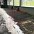 Сдам коммерческое помещение 360 м2, Дамбовая 3-я ул, Калининград г