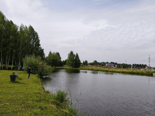 Продам дом, Парижская (дачной застройки Семейный пар ул, 133, Задорино д, 0 км от города