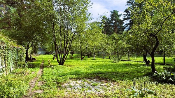 Продам участок 17 соток, ИЖС, Калинина пер, 5ка, Кратово дп, 0 км от города