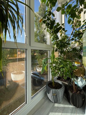 Продам двухкомнатную (2-комн.) квартиру, Степная ул, 155, Волгодонск г