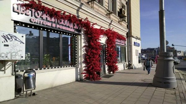 Сдам коммерческое помещение 315,5 м2, Устье С и Ко снт, Дубна г