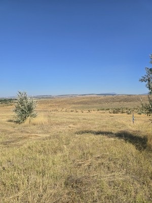 Продам участок 6 соток, ИЖС, Камышинка с, 0 км от города