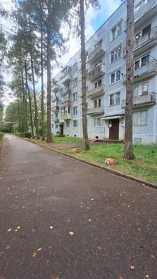 Продам однокомнатную (1-комн.) квартиру, Победы ул, 10, Чернецкое п/о