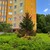 Продам однокомнатную (1-комн.) квартиру, Ясная ул, 17, Калининград г