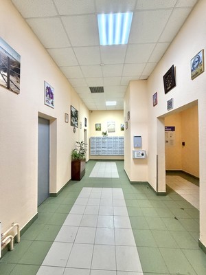 Продам однокомнатную (1-комн.) квартиру, Мытищинская ул, 3, Троицкое с