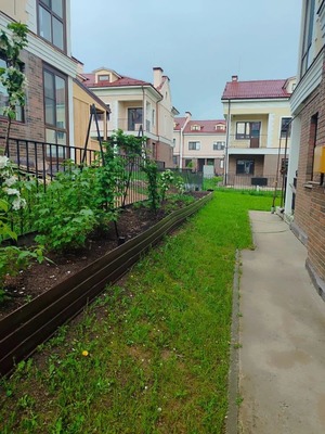 Продам таунхаус, Южная ул, 24к7, Пушкино д, 0 км от города