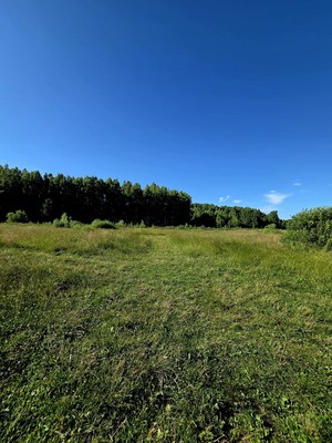 Продам дом, Дружбы ул, 17кВ, Бело-Безводное с, 0 км от города