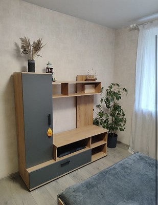 Сдам трехкомнатную (3-комн.) квартиру, Буренина ул, 1к1, Санкт-Петербург г