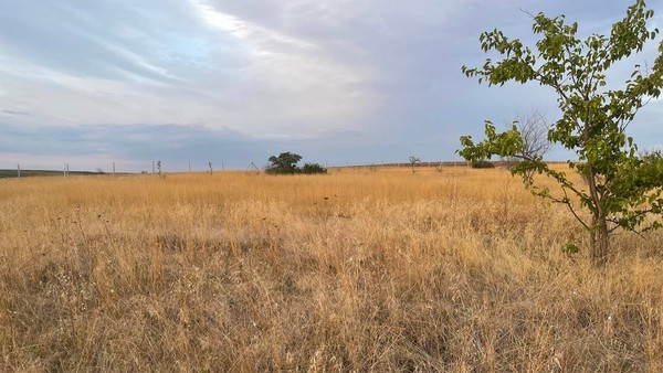 Продам участок 12 соток, ИЖС, Скворцово с, 0 км от города