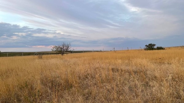 Продам участок 12 соток, ИЖС, Скворцово с, 0 км от города
